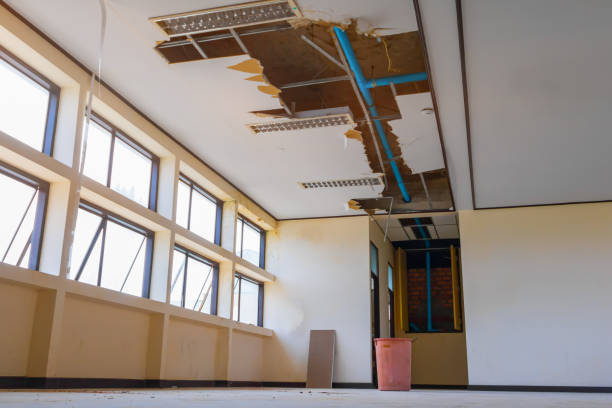 Best Professional water damage repair  in August, CA