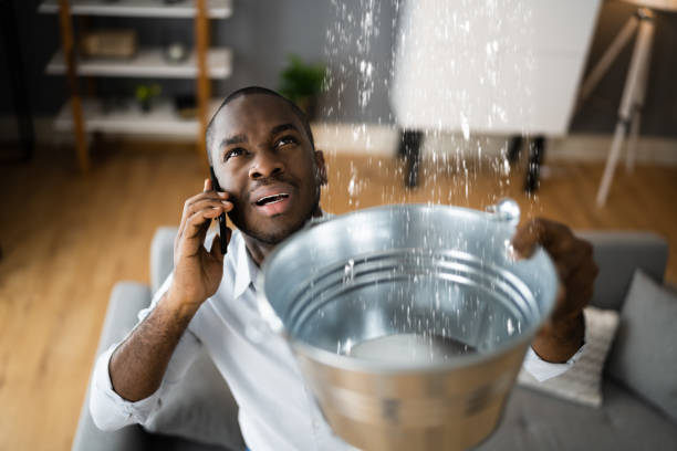 Best Water damage restoration process  in August, CA