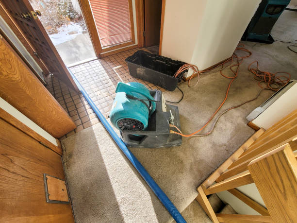 Best Mold removal after water damage  in August, CA