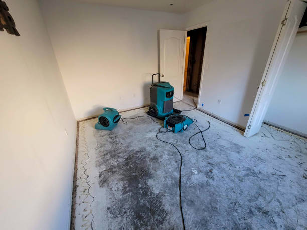 Best 24/7 water damage repair  in August, CA