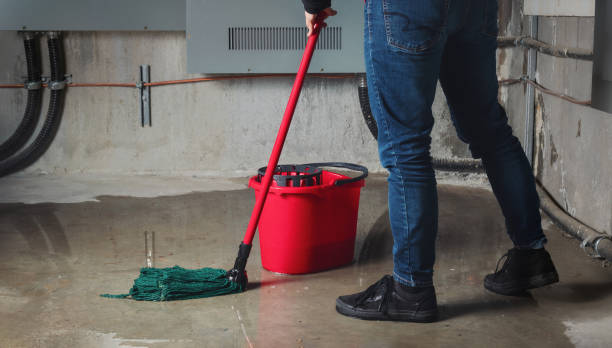 Best Water damage contractors near me  in August, CA
