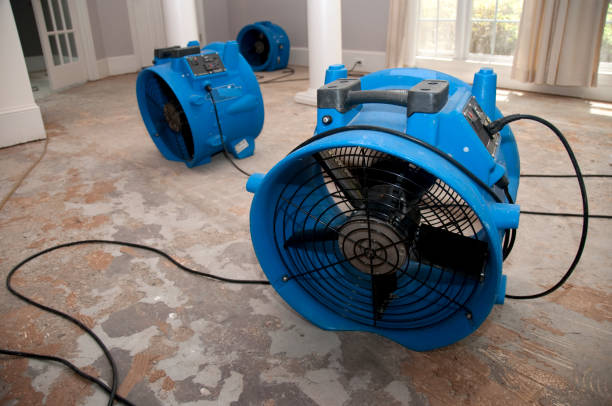 Best Ceiling water damage repair  in August, CA