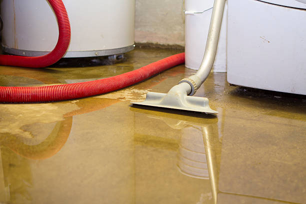 Best Fire Damage Restoration  in August, CA