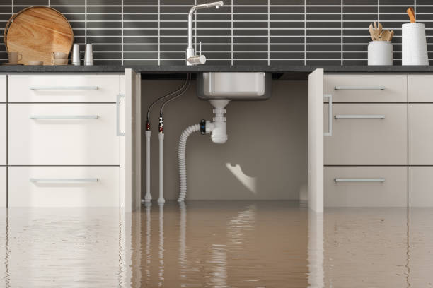 Best Flood damage cleanup  in August, CA