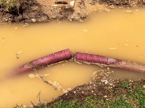 Best Basement water damage restoration  in August, CA
