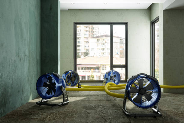 Best Flood restoration services  in August, CA