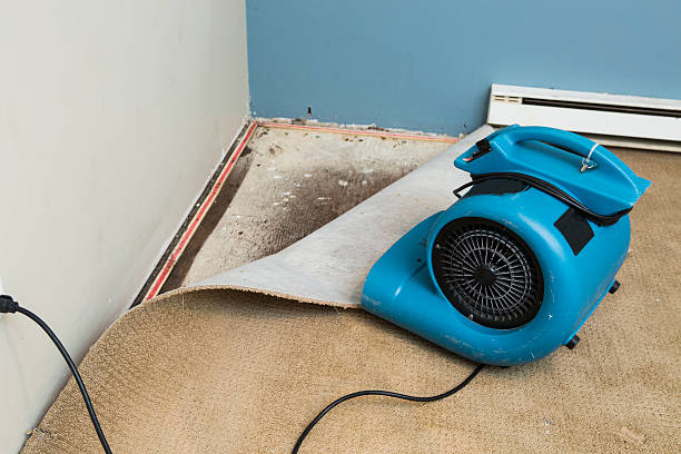 Best Ceiling water damage repair  in August, CA